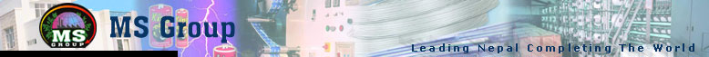 MS Group